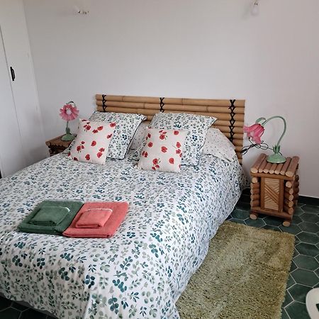 Apartamento Gentil Coquelicot Mirepoix  Exterior foto