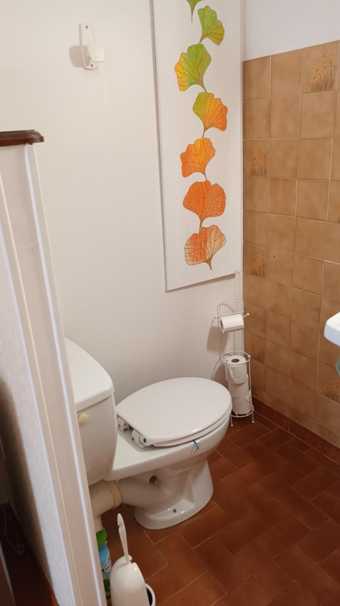 Apartamento Gentil Coquelicot Mirepoix  Exterior foto